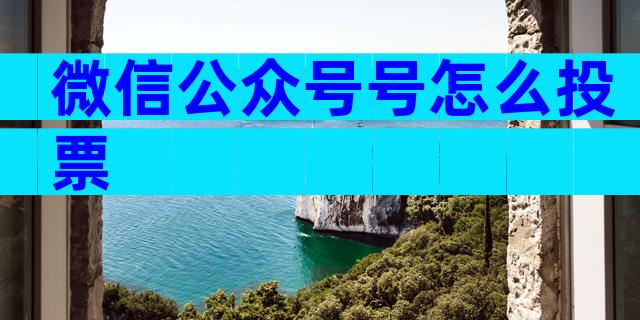 微信公众号号怎么投票