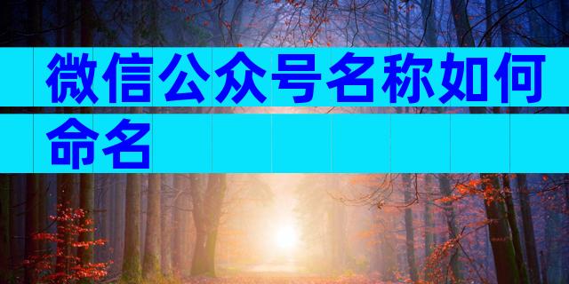 微信公众号名称如何命名