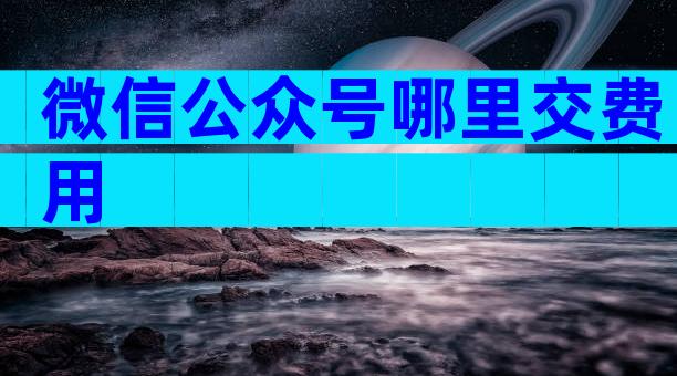 微信公众号哪里交费用