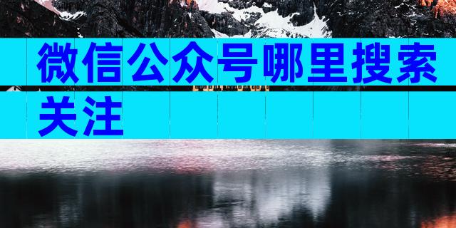 微信公众号哪里搜索关注