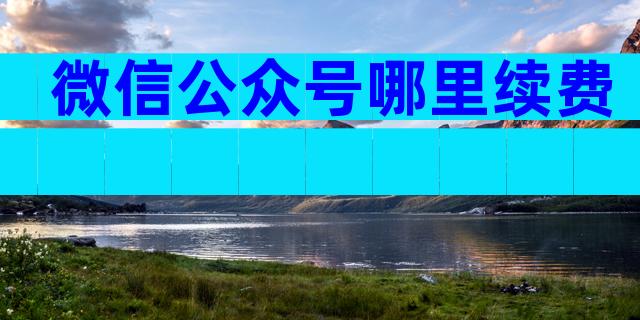 微信公众号哪里续费