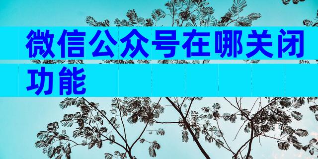 微信公众号在哪关闭功能