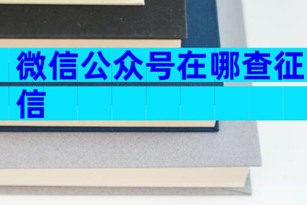 微信公众号在哪查征信
