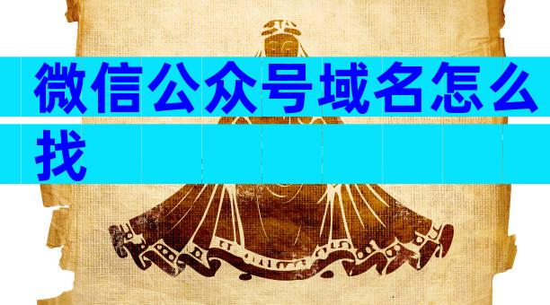 微信公众号域名怎么找