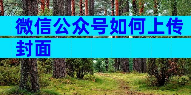 微信公众号如何上传封面