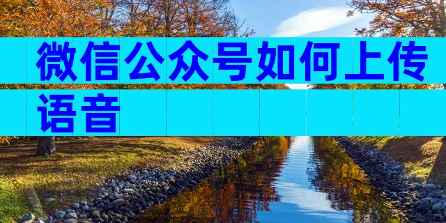 微信公众号如何上传语音