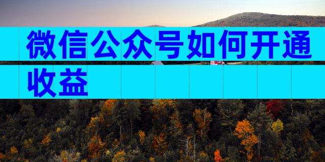 微信公众号如何开通收益