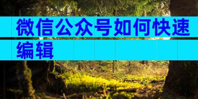 微信公众号如何快速编辑