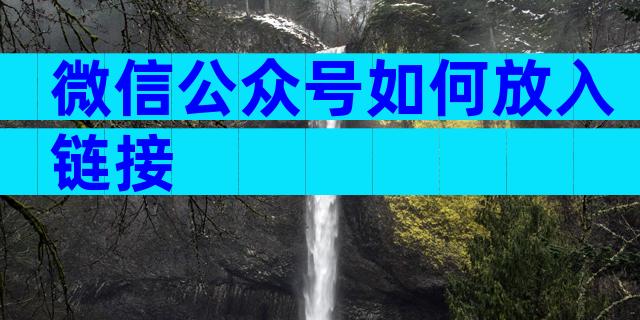 微信公众号如何放入链接