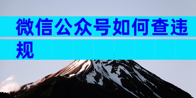 微信公众号如何查违规