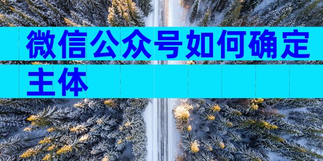 微信公众号如何确定主体