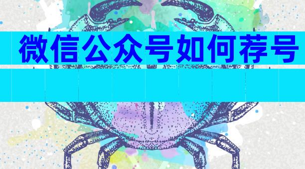 微信公众号如何荐号