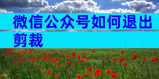 微信公众号如何退出剪裁