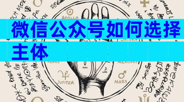 微信公众号如何选择主体