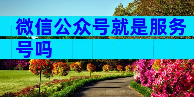 微信公众号就是服务号吗