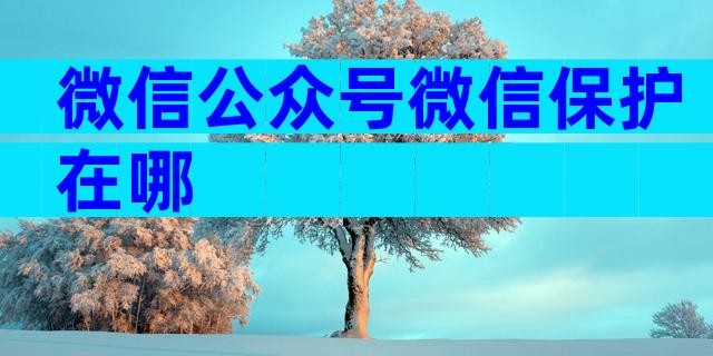 微信公众号微信保护在哪