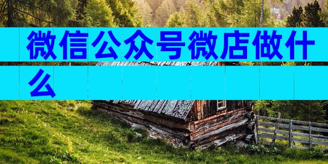 微信公众号微店做什么