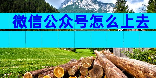 微信公众号怎么上去