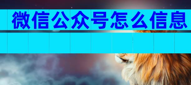 微信公众号怎么信息