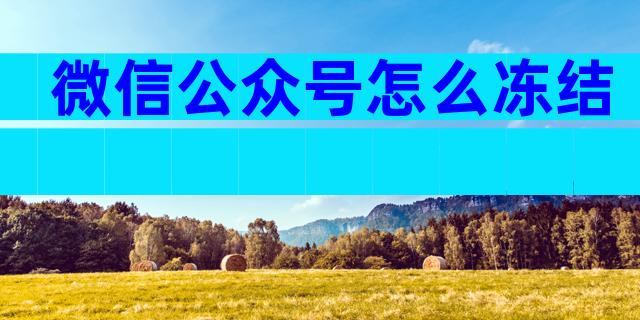 微信公众号怎么冻结