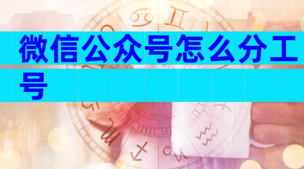 微信公众号怎么分工号