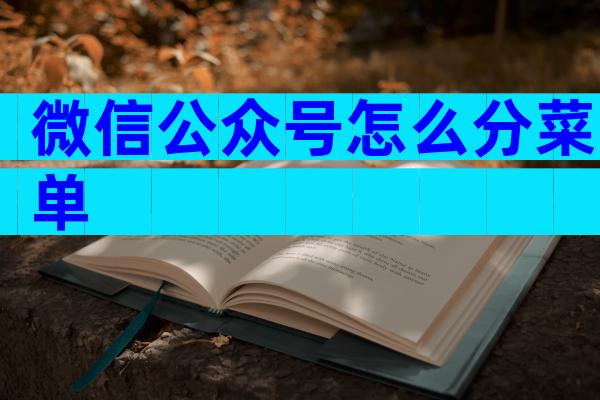 微信公众号怎么分菜单