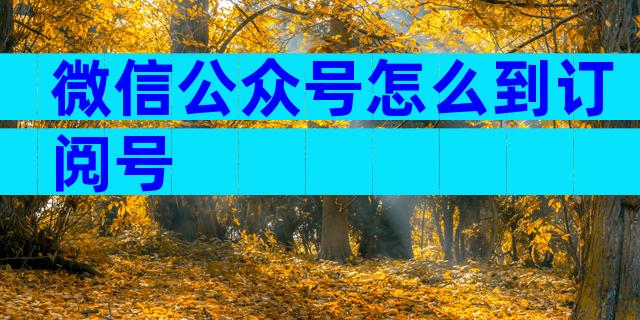 微信公众号怎么到订阅号
