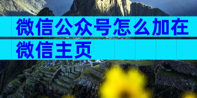 微信公众号怎么加在微信主页