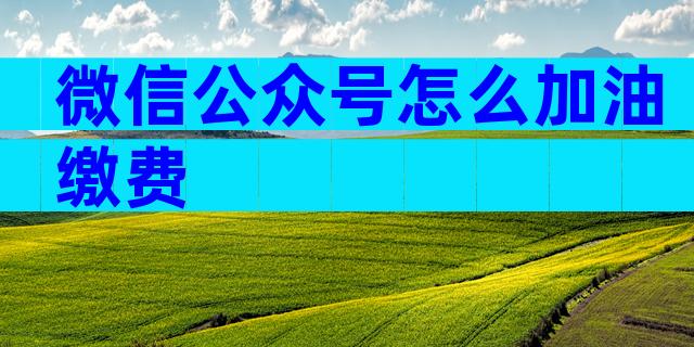微信公众号怎么加油缴费