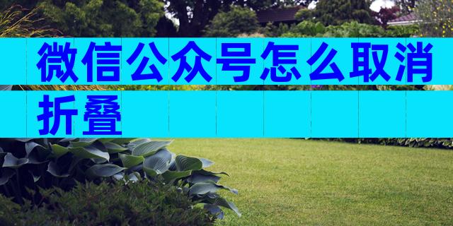 微信公众号怎么取消折叠