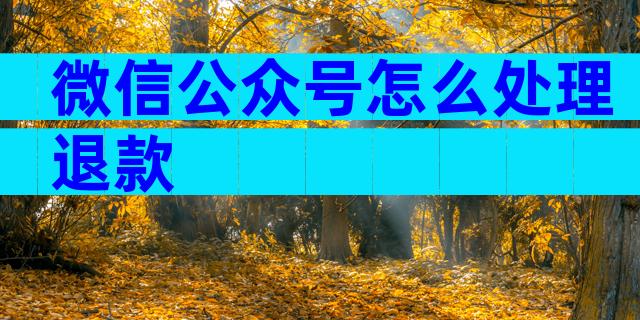微信公众号怎么处理退款