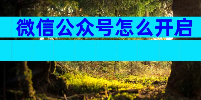微信公众号怎么开启