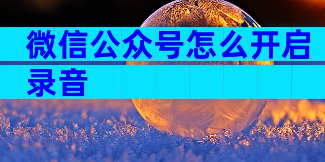 微信公众号怎么开启录音