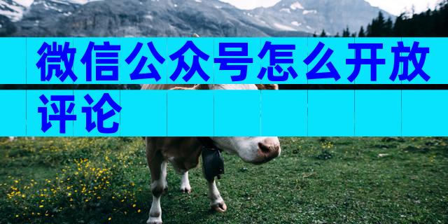 微信公众号怎么开放评论