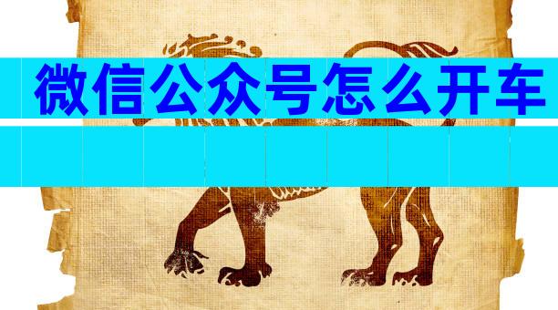 微信公众号怎么开车