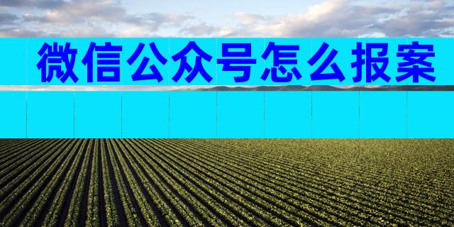 微信公众号怎么报案