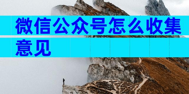 微信公众号怎么收集意见
