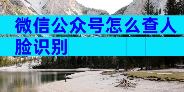 微信公众号怎么查人脸识别