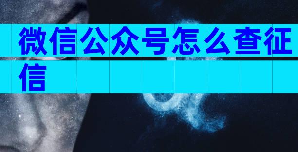 微信公众号怎么查征信