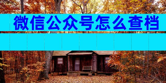 微信公众号怎么查档