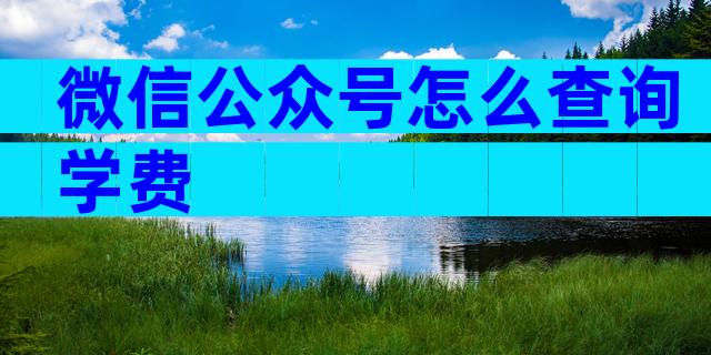 微信公众号怎么查询学费