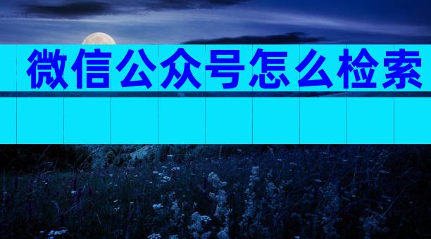 微信公众号怎么检索