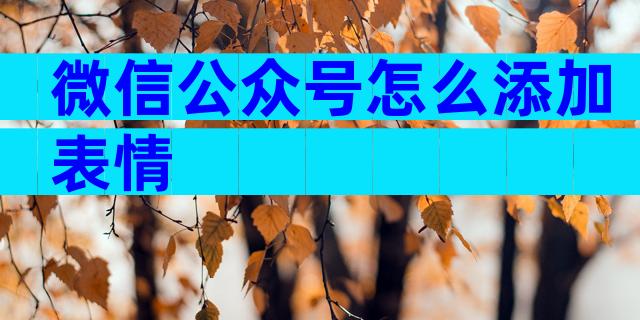 微信公众号怎么添加表情