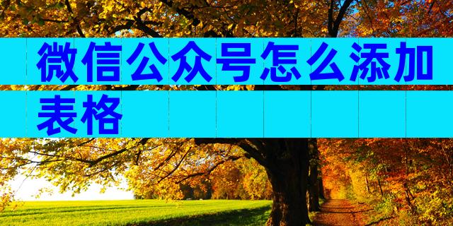 微信公众号怎么添加表格