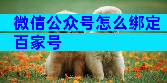 微信公众号怎么绑定百家号