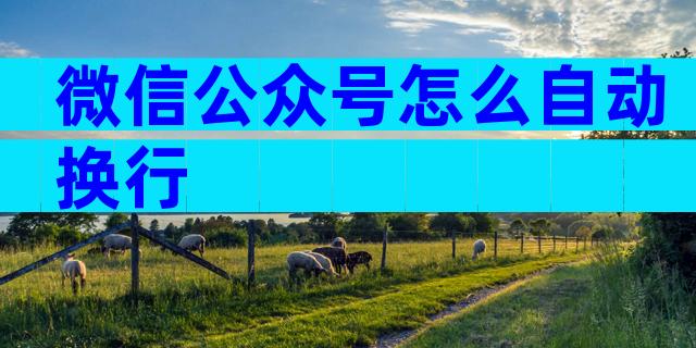 微信公众号怎么自动换行