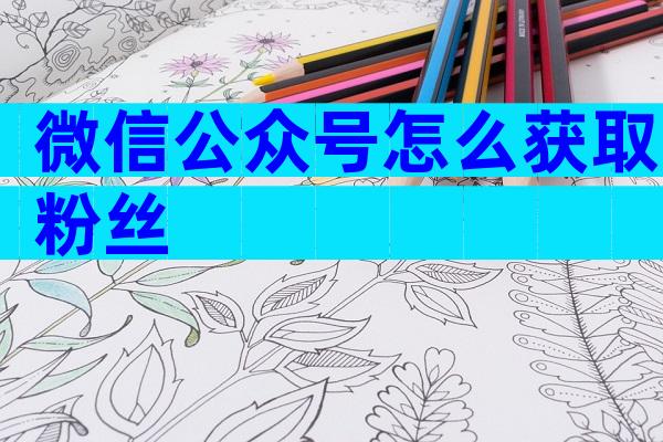 微信公众号怎么获取粉丝