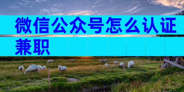 微信公众号怎么认证兼职