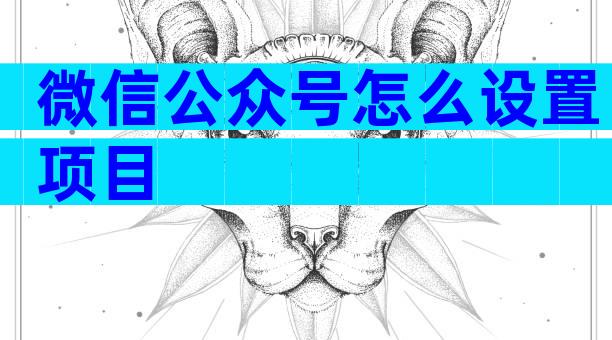 微信公众号怎么设置项目