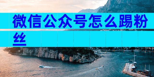 微信公众号怎么踢粉丝